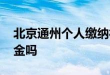 北京通州个人缴纳社保在哪里交 能交五险一金吗 