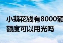 小鹅花钱有8000额度全部可以用吗 小鹅花钱额度可以用光吗