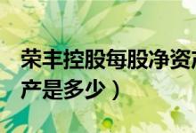 荣丰控股每股净资产（荣丰控股000668净资产是多少）
