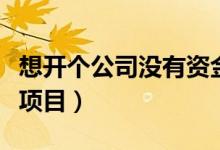 想开个公司没有资金怎么办（想开个公司没有项目）