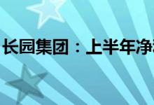 长园集团：上半年净利同比预增258%-374%