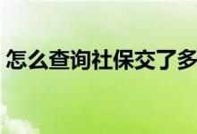 怎么查询社保交了多少年 缴费后多久能查到 