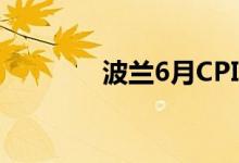波兰6月CPI同比上涨15.5%