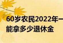 60岁农民2022年一次性缴纳三万社保 每个月能拿多少退休金 