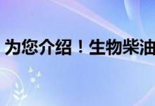 为您介绍！生物柴油龙头上市公司有哪些（）