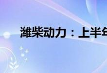 潍柴动力：上半年净利预降60%-65%