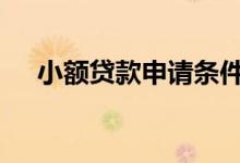 小额贷款申请条件 小额贷款怎么申请呢