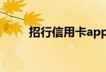 招行信用卡app 办招行信用卡快吗