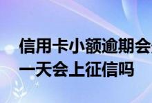 信用卡小额逾期会影响征信吗 小额贷款逾期一天会上征信吗