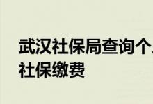 武汉社保局查询个人武汉社保怎么查 如何查社保缴费 