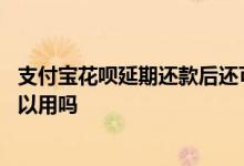 支付宝花呗延期还款后还可以吗 支付宝花呗延期还款后还可以用吗