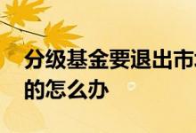 分级基金要退出市场了吗 分级基金退出持有的怎么办