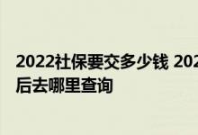 2022社保要交多少钱 2022社保年审网上怎么操作的缴费完后去哪里查询 