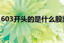 603开头的是什么股票 600开头的是什么股票