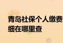 青岛社保个人缴费交多少钱 个人账户缴费明细在哪里查 