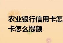 农业银行信用卡怎么提额最快 农业银行信用卡怎么提额