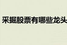 采掘股票有哪些龙头股（采掘股票名单分析）