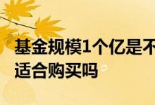 基金规模1个亿是不是太小了 基金规模太小了适合购买吗