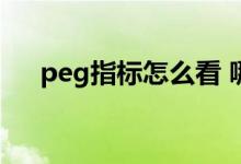 peg指标怎么看 哪个软件里有peg指标