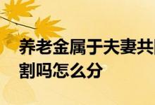 养老金属于夫妻共同财产吗 如果离婚也要分割吗怎么分 
