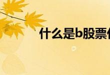 什么是b股票代码 什么是b股票