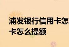 浦发银行信用卡怎么提额成功 浦发银行信用卡怎么提额