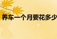 养车一个月要花多少钱（这些费用你算过吗）
