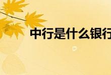 中行是什么银行 中行是中国银行吗