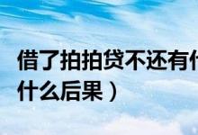 借了拍拍贷不还有什么后果（拍拍贷不还款有什么后果）