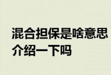 混合担保是啥意思 组合担保是什么意思 可以介绍一下吗