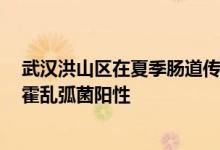 武汉洪山区在夏季肠道传染病日常监测中检出4份甲鱼样本霍乱弧菌阳性