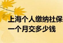 上海个人缴纳社保怎么交 上海个人缴纳社保一个月交多少钱 