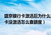 盛京银行卡激活后为什么用不了（盛京银行信用卡还没收到卡没激活怎么查额度）