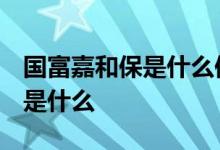 国富嘉和保是什么保险公司 国富嘉和保2021是什么