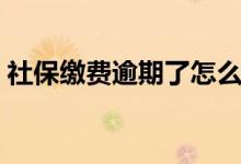 社保缴费逾期了怎么办 缴纳社保有哪些方式 
