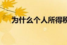 为什么个人所得税银行卡一直是待核验