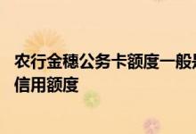 农行金穗公务卡额度一般是多少 农行金穗公务卡想怎么提高信用额度
