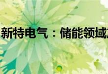 新特电气：储能领域产品尚处于初步推进阶段