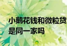 小鹅花钱和微粒贷哪个好 微粒贷和小鹅花钱是同一家吗