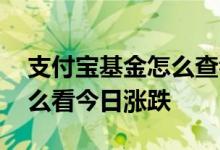 支付宝基金怎么查看实时涨跌 支付宝基金怎么看今日涨跌