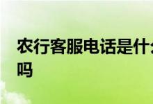 农行客服电话是什么 农行客服电话是24小时吗