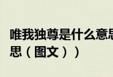唯我独尊是什么意思解释（唯我独尊是什么意思（图文））
