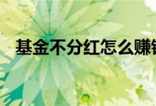 基金不分红怎么赚钱 基金不分红怎么赚钱