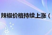 辣椒价格持续上涨（成本价25元比肉还要贵）