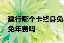 建行哪个卡终身免年费 建行理财金卡是终身免年费吗