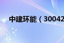 中建环能（300425）股票股本结构分析