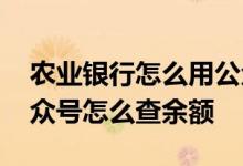 农业银行怎么用公众号查询余额 农业银行公众号怎么查余额