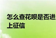 怎么查花呗是否进入了征信 怎么看花呗是否上征信