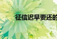 征信迟早要还的 征信可不可以洗白