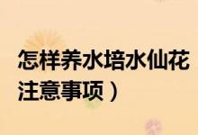 怎样养水培水仙花（水培水仙花的养殖方法和注意事项）